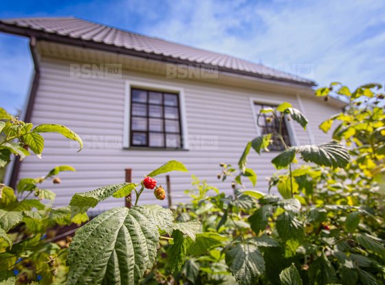 Продажа дома - дачный поселок Массив Бойцово, Березовая улица