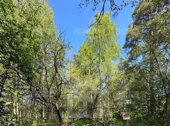 Продажа участка - городской поселок Рощино, Красноармейская улица