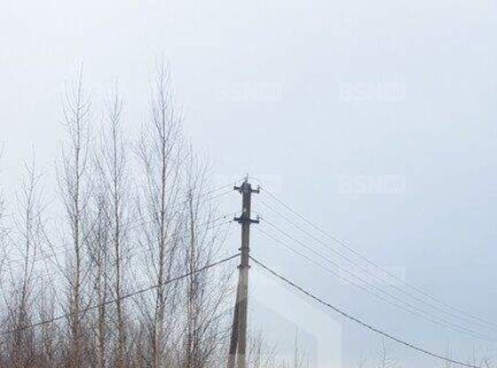 Продажа участка - Сосновый Бор