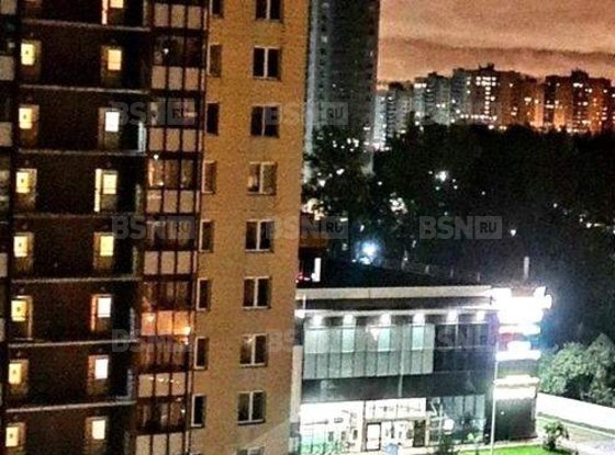 Продажа однокомнатной квартиры - деревня Новое Девяткино, Арсенальная улица, д.2 