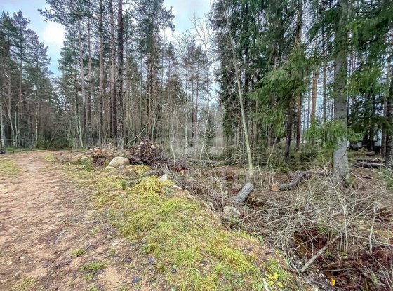 Продажа участка - городской поселок Рощино, Молодёжная улица