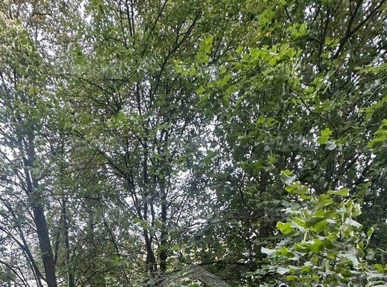 Продажа однокомнатной квартиры - 16-я В.О. линия, д.1 