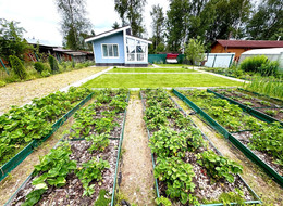 Продажа дачи - Ленинградская область, Кировский район, Колпинец тер. СНТ, Новая ул.