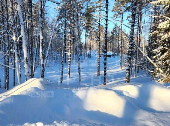 Продажа участка - Ленинградская область