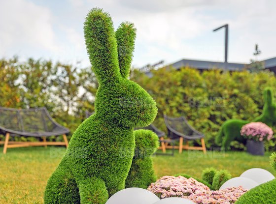 Продажа участка - коттеджный поселок Оазис Парк Репинское, Оазис Парк Репинское кп