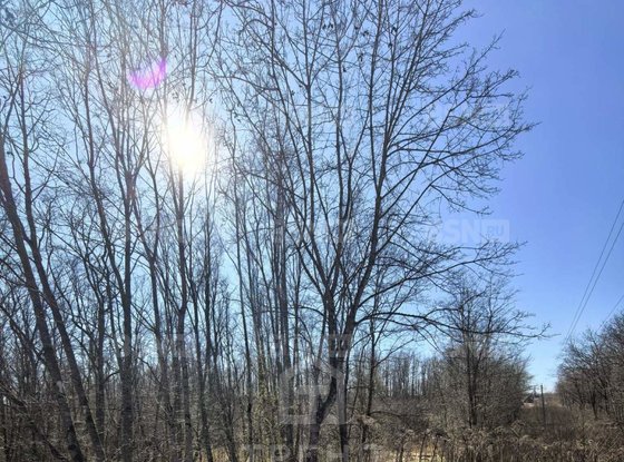 Продажа участка - Ивангород, Госпитальная улица