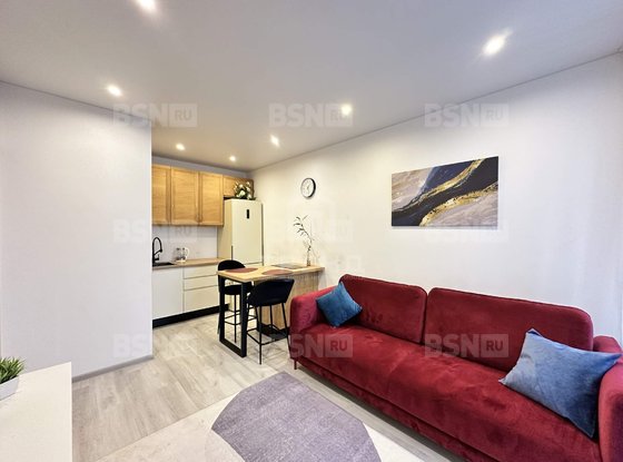 Продажа однокомнатной квартиры - Светлановский проспект, д.8 