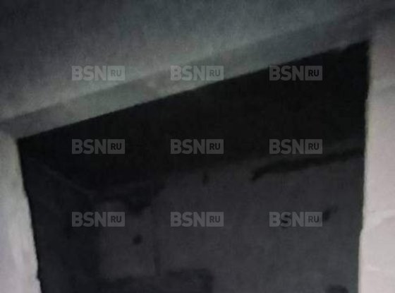 Продажа однокомнатной квартиры - поселок Шушары, Старорусский проспект, д.8, корп.1 