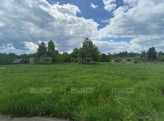 Продажа участка - деревня Хвойное, Хвойное д