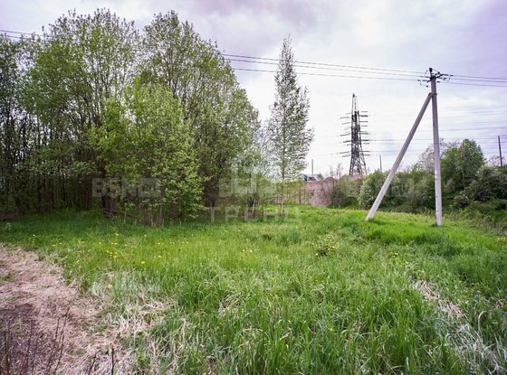 Продажа участка - поселок Петро-Славянка, Лесной проспект