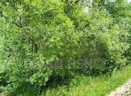Продажа участка - СТ Пролетарский труд ул.