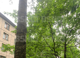 Продажа трехкомнатной квартиры - Санкт-Петербург, Колпинский район, Колпино г., Колпинский, Павловская ул., д.54 