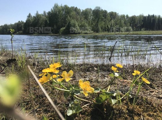 Продажа участка - Выборг