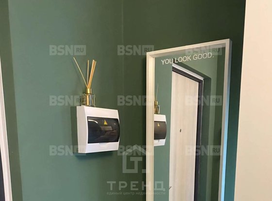 Продажа однокомнатной квартиры - городской поселок Янино-1, Тюльпанов улица, д.2, корп.2 