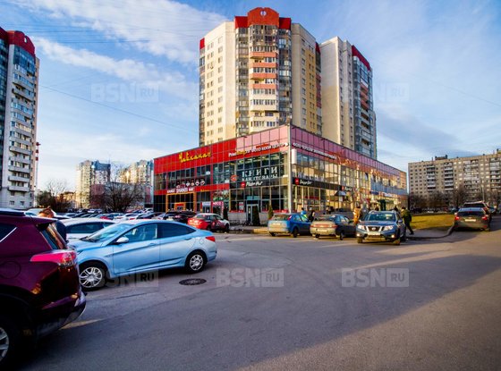 Аренда универсального помещения - Косыгина проспект, д.24, корп.2 