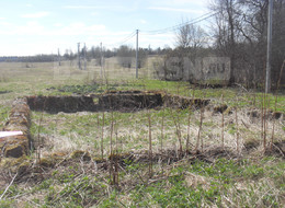 Продажа земельного участка - Ленинградская область, Волосовский район, Большие Озертицы д. 