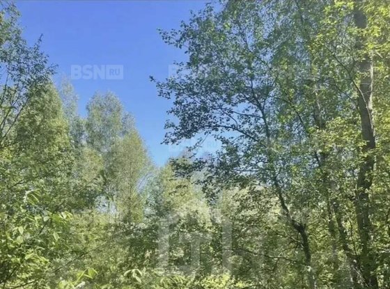 Продажа участка - Всеволожск, Пушкинская улица