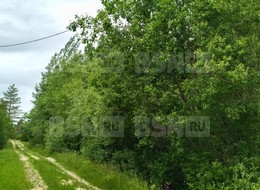 Продажа участка - СТ Пролетарский труд ул.