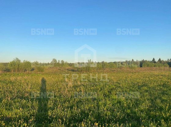 Продажа участка - Ленинградская область