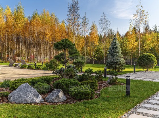 Продажа участка - поселок Ленинское, Репинское кп