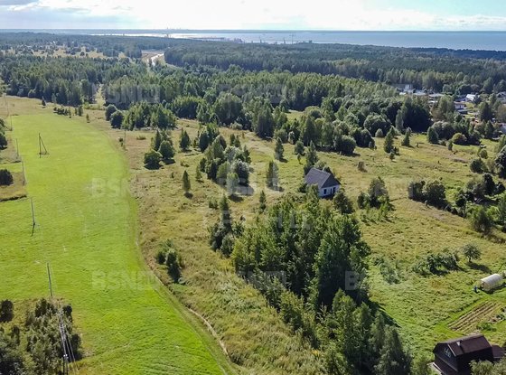 Продажа участка - деревня Ручьи, Сойкинская улица