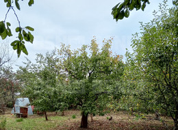 Продажа земельного участка - Ленинградская область, Ломоносовский район, Пески тер. СНТ, 13-я линия ул. 