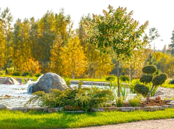 Продажа участка - коттеджный поселок Оазис Парк Репинское, Оазис Парк Репинское кп