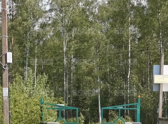 Продажа участка - Борисова Грива, Строитель территория снт