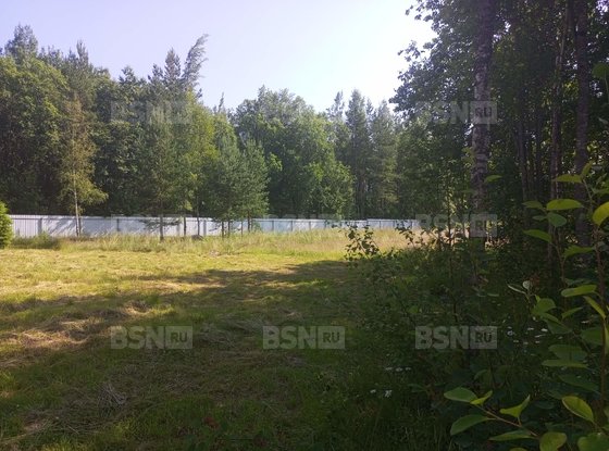 Продажа участка - деревня Светлое, Ленинградская ул