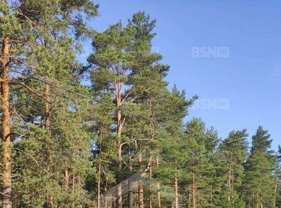 Продажа дома - Сосновый Бор, Сосновая улица