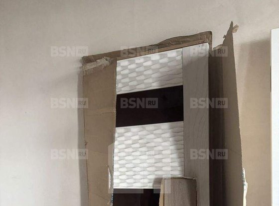 Продажа двухкомнатной квартиры - Просвещения проспект, д.43 