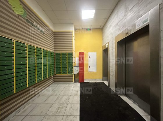 Продажа однокомнатной квартиры - Мурино, Ручьевский проспект, д.9 