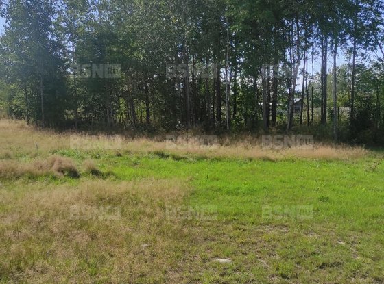 Продажа участка - деревня Светлое, Береговая улица