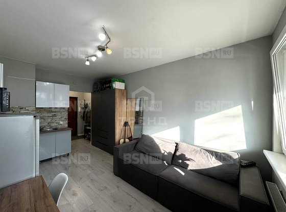 Продажа однокомнатной квартиры - городской поселок Кузьмоловский, Придорожная улица, д.1, корп.5 