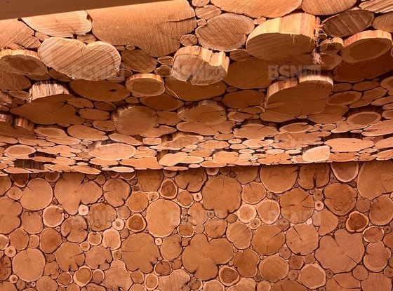 Аренда коттеджа - дачный поселок Массив Мичуринское, ДНТ Журавлевское территория