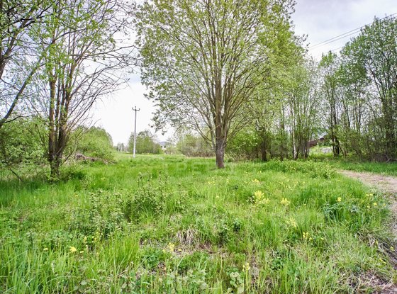 Продажа участка - поселок Петро-Славянка, Лесной проспект