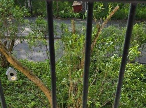 Продажа однокомнатной квартиры - деревня Капитолово, Муравицкого улица, д.1 