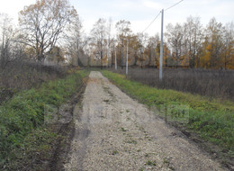 Продажа земельного участка - Ленинградская область, Волосовский район, Каложицы п. 