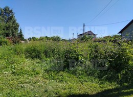 Продажа участка - Россия, Ленинградская область, Гатчинский район, Пудость тер. СНТ