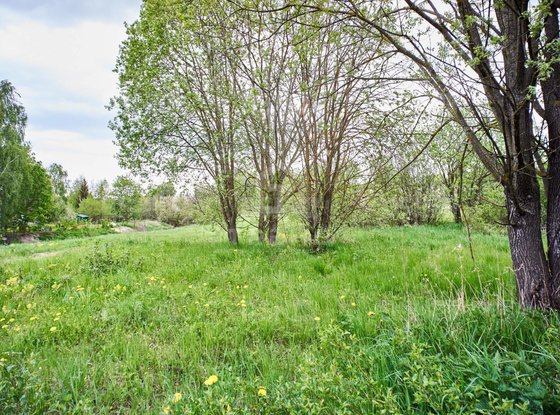 Продажа участка - поселок Петро-Славянка, Лесной проспект