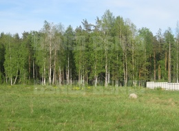 Продажа земельного участка - Ленинградская область, Всеволожский район, Дубровка г.п., Выборгская ул., д.17 