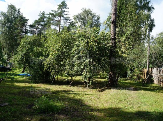 Продажа участка - городской поселок Вырица, Казанская улица