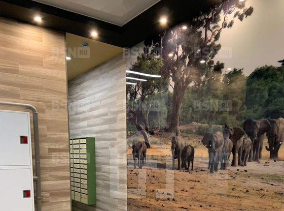 Продажа однокомнатной квартиры - поселок Парголово, Брюлловская улица, д.3, стр1 