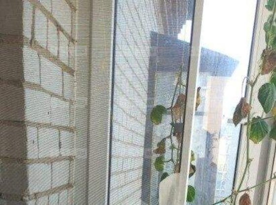 Продажа однокомнатной квартиры - Петергоф, д.1 