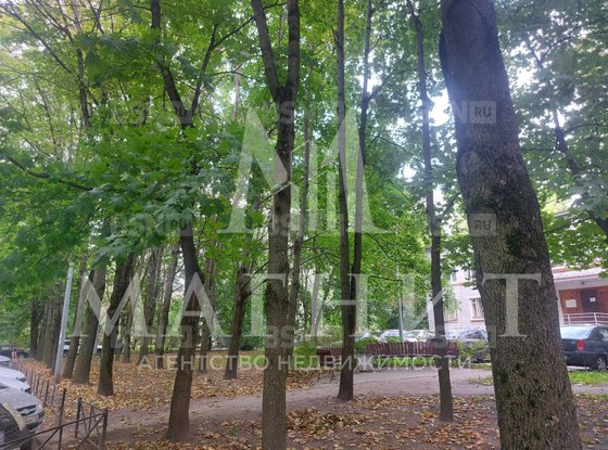 Продажа трехкомнатной квартиры - Фаворского улица, д.18 