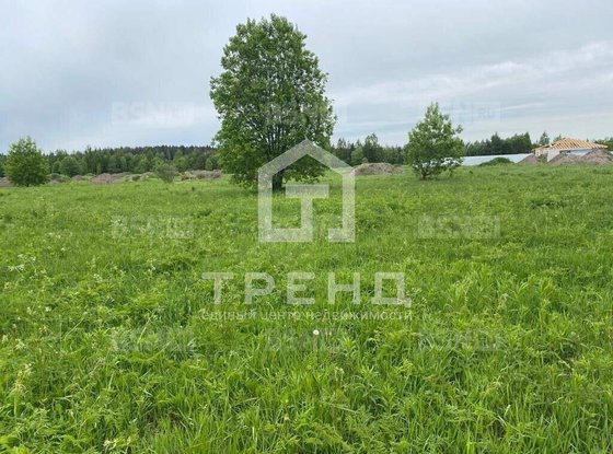 Продажа участка - деревня Ладога, Ладога д