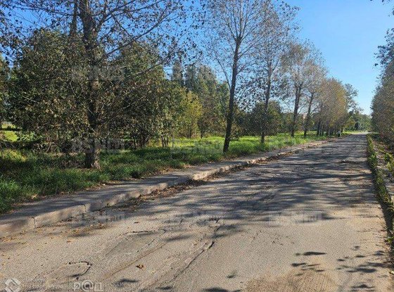 Продажа участка - Пушкин