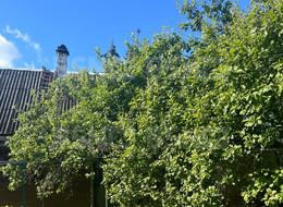 Продажа дачи - Ленинградская область, Гатчинский район, Азимут тер. СНТ