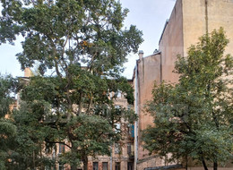 Продажа комнаты в шестикомнатной квартире - Санкт-Петербург, Василеостровский район, Большой В.О. пр-кт., д.25, литер А 