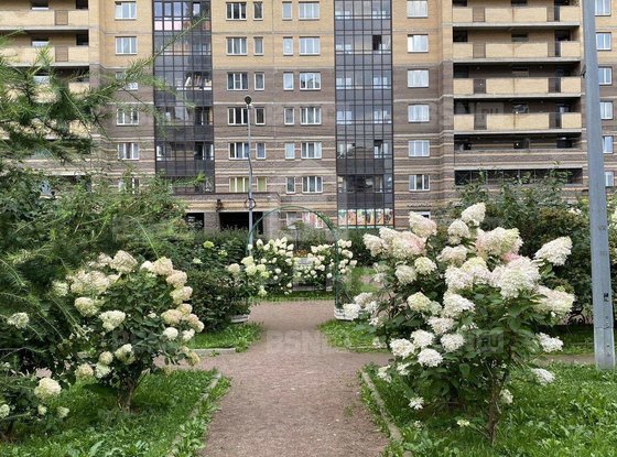 Продажа однокомнатной квартиры - поселок Парголово, Заречная улица, д.41 